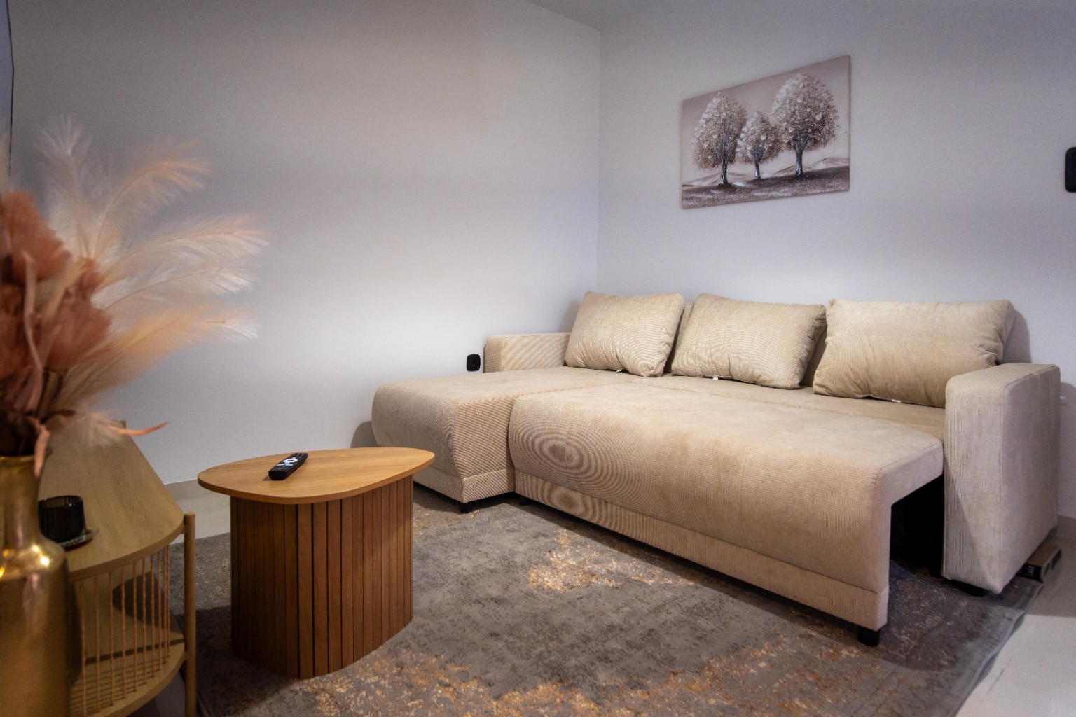 Large sofa and television in the St. Constantine Suites living room